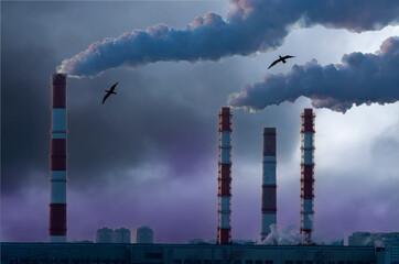 Smoke from the factory chimney against the background of birds and clouds. The concept of atmospheric pollution
