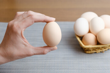 Female hand holds a large chicken egg, demonstrating its size and quality against the background of eggs lying in a basket. Farm chicken eggs produced in our own chicken coop. Diet fresh product.