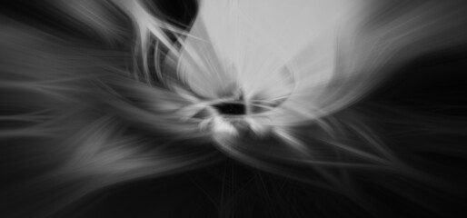 black and white abstract fractal illustration background