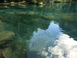BLAUSEE LAKE IN INTERLAKEN SWITZERLAND