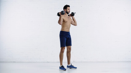 full length of sportive and shirtless man in shorts working out with dumbbells against white brick wall