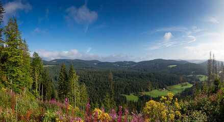 Aussicht im Schwarzwald
