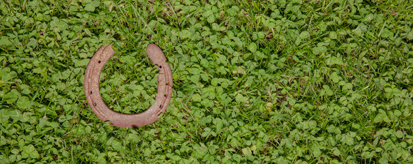 Altes Hufeisen im Grünen Klee als Glücksbringer