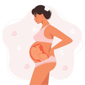 Pregnancy woman, baby in the womb. Preparation for childbirth, healthy Pregnancy. Flat vector illustration