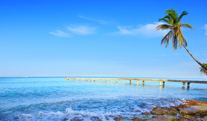 Caribbean sea and green palm tree. Summer sea landscape .