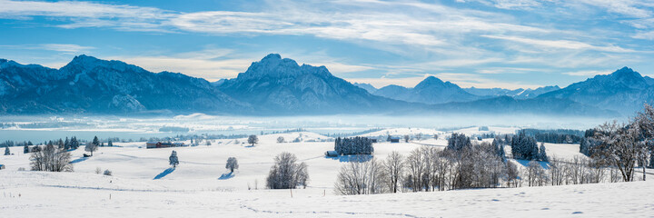 Fototapeta na wymiar panoramic landscape at winter with mountain range