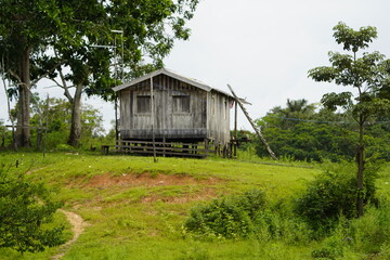 Wooden houses built on high stilts called in Portuguese palafitas. Location: between Mamori Lake and Manaus, Amazonas - Brazil.