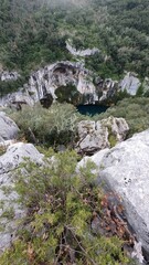 verdon
