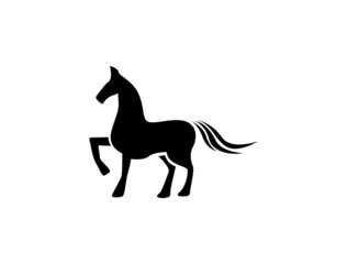 horse silhouette isolated on white