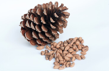 Heap of pine nuts and pine cone isolated on white background.