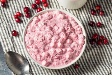 Homemade Christmas Cranberry Salad Dessert
