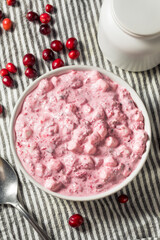 Homemade Christmas Cranberry Salad Dessert