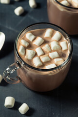 Warm Chocolate Hot Cocoa with Marshmallows