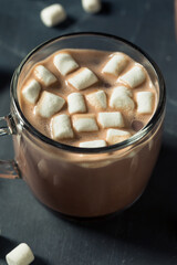 Warm Chocolate Hot Cocoa with Marshmallows