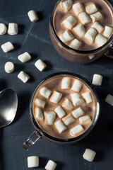 Warm Chocolate Hot Cocoa with Marshmallows