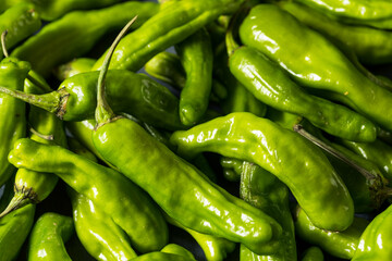 Raw Green Organic Shashito Peppers
