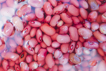 red beans soaked in water close-up