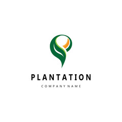 P letter plantation logo leaf illustration vector design