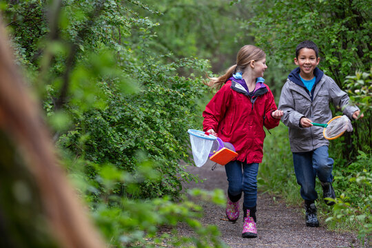 elementary students chasing bugs on outdoor field trip