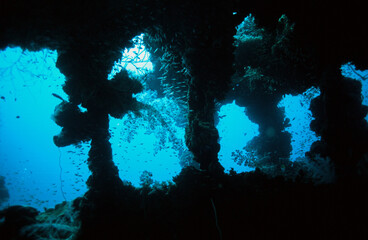 Fototapeta premium A Shipwreck in Truk, Chuuk, Lagoon, Micronesia, from inside a Sunken Japanese Ship from World War Two