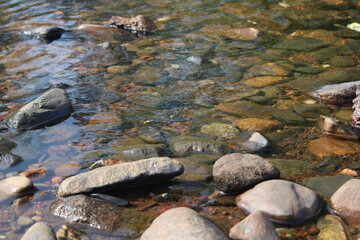 small river in the woods only found its beauty in monsoon