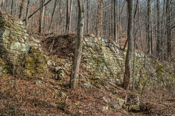 Stone wall in the forest