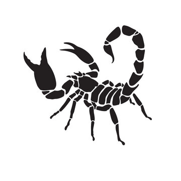 scorpion vector silhouette