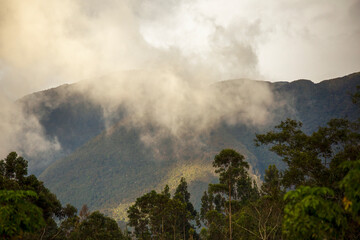 Low clouds over the eastern Andes range of central Colombia behind an eucalyptus forest near the colonial town of Villa de Leyva in the afternoon.