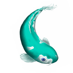 Fototapeta premium Illustration of Koi carp on a white background