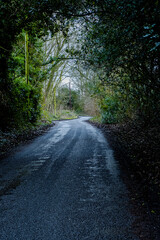 Fototapeta premium Countryside road in winter
