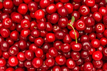 many red sweet cherries, filled frame. Summer concept. fresh fruits and berries. food and healthy eating.