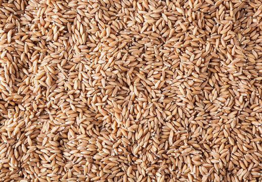 Uncooked spelt grains background
