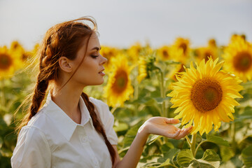 woman with pigtails in a field of sunflowers flowering plants