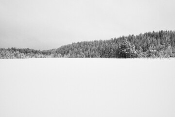 snow covered trees in winter by the Skjærsjøen Lake up in the Totenåsen Hills, Norway.
