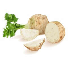 Celery root with leaves, half and a quarter of celery root for banners, flyers, posters, social media. Fresh organic, healthy, vegetarian vegetables. Vector illustration isolated on white background