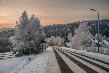 Zimowy poranek w Beskidzie Niskim © Piotr Gaborek 