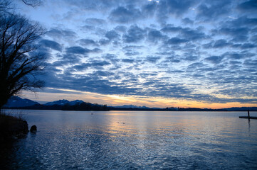 Altocumulus evening sky in winter landscape mountains and tree