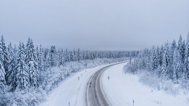 Natural background. View from the height of the winter forest and the road.