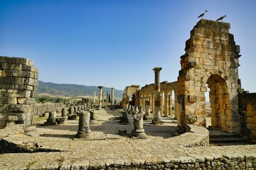 The ruins of the sity of Volubilis, the former center of the Kingdom of Mauritania 