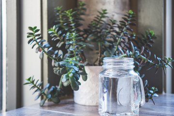 Vintage of glass jar and plant in the background with shallow depth of field