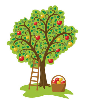 vector design of single apple tree with fruits, basket and ladder