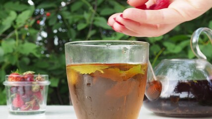 Iced fruit tea or cold berry drink in clear glass with mint leaf. fresh berries raspberries, blueberries, strawberries, lime. Refreshing summer drink. nature foliage background