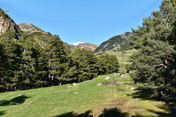 Andorra - Encamp - Mirador del Bosc de les Allaus - Zufahrt - obrazy, fototapety, plakaty