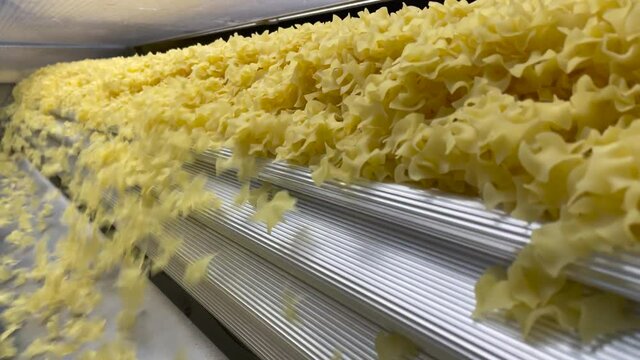 Shaking conveyor belt moves on just made dry pasta through factory line next to the packing department. Full cycle process of pasta industrial producing on modern food factory
