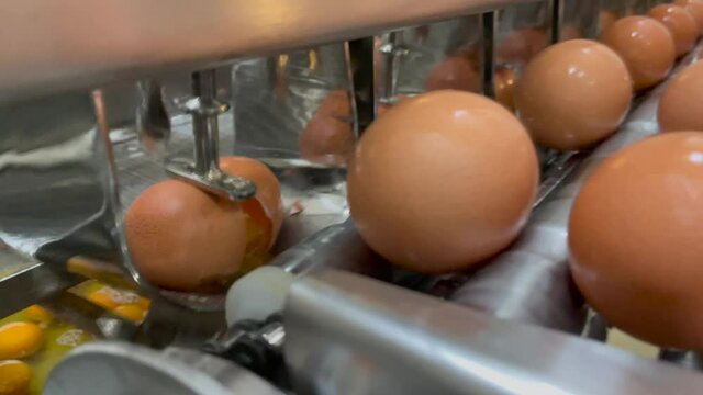 The machine breaks eggs in the dough factory, the egg yolk and the eggshell will be separate.