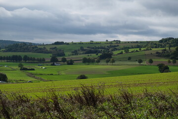 Fototapeta na wymiar Landscape with fields in a gloomy weather