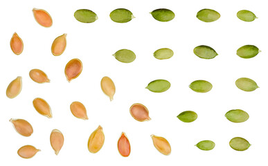 Pumpkin seeds isolated on white, top view.