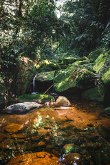 waterfall in the forest