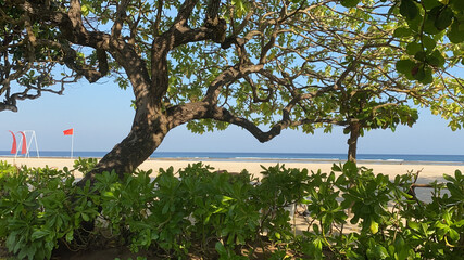 a spacious beach on the ocean. On this beach you can just take a sun bath, or you can arrange an active holiday: volleyball, tennis, bambinton