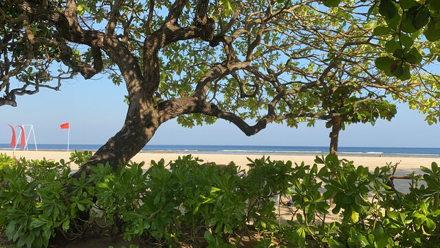 a spacious beach on the ocean. On this beach you can just take a sun bath, or you can arrange an active holiday: volleyball, tennis, bambinton